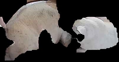Crop