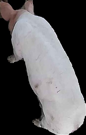 Crop