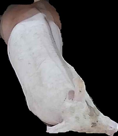Crop