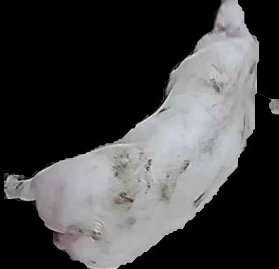 Crop
