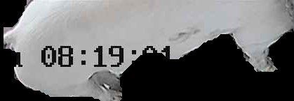 Crop
