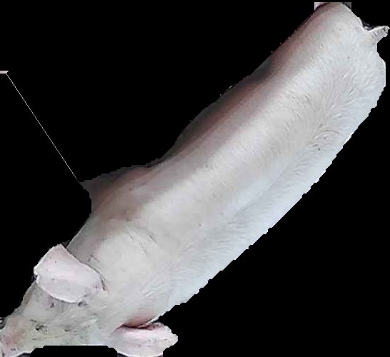 Crop