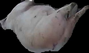 Crop