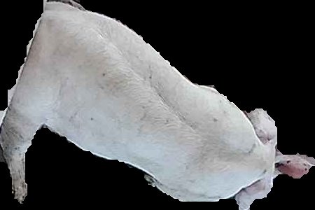 Crop