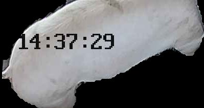 Crop