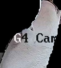 Crop