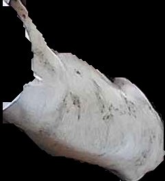 Crop