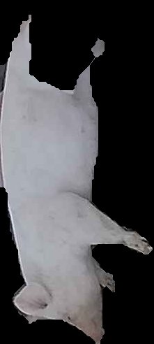 Crop