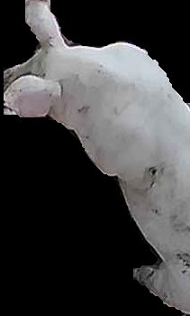 Crop