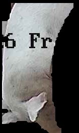 Crop