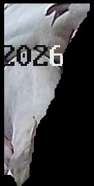 Crop