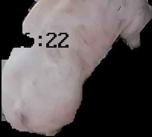 Crop