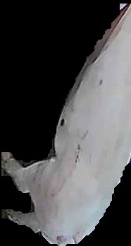 Crop