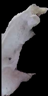 Crop