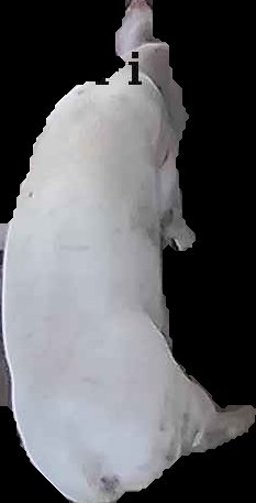Crop