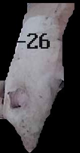 Crop