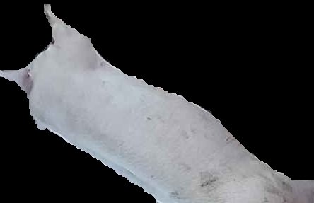 Crop