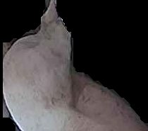 Crop