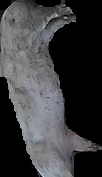 Crop