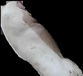 Crop
