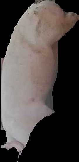 Crop