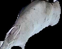 Crop