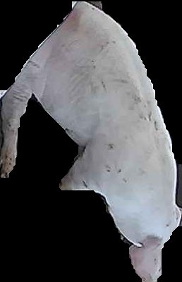 Crop