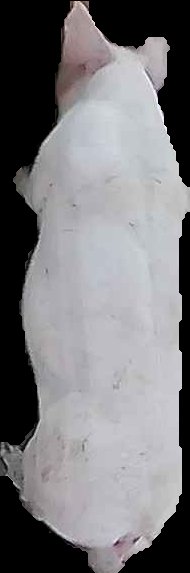 Crop