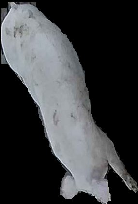 Crop