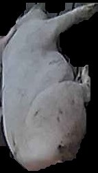 Crop