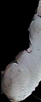 Crop