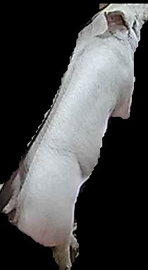 Crop