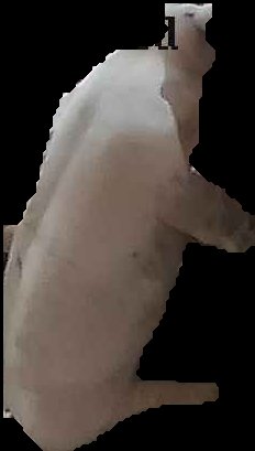 Crop