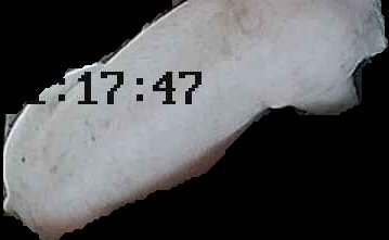 Crop