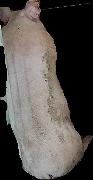 Crop