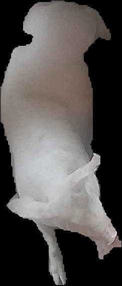 Crop