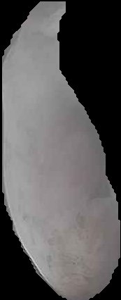 Crop