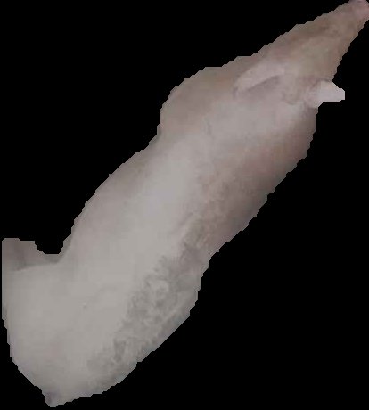 Crop