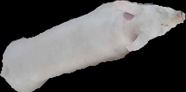 Crop
