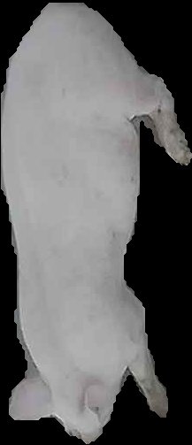 Crop