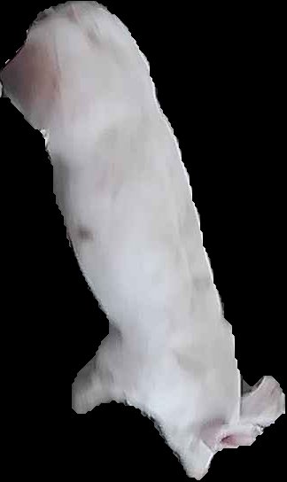 Crop
