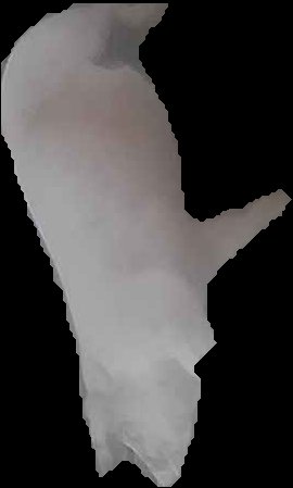 Crop