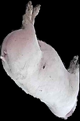 Crop