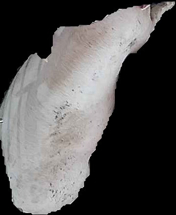 Crop