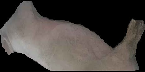 Crop