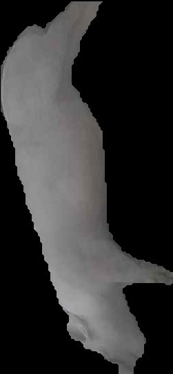 Crop