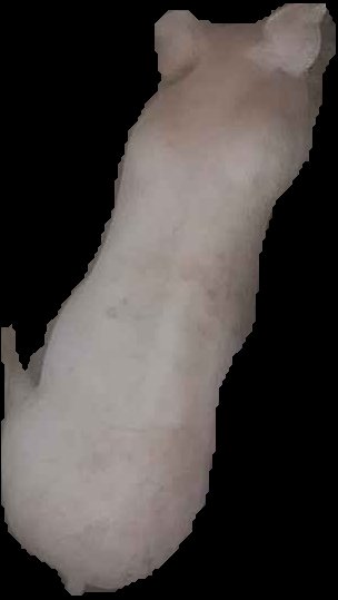 Crop