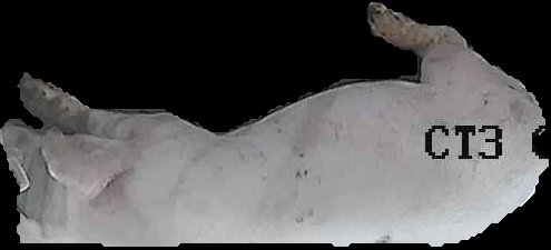 Crop