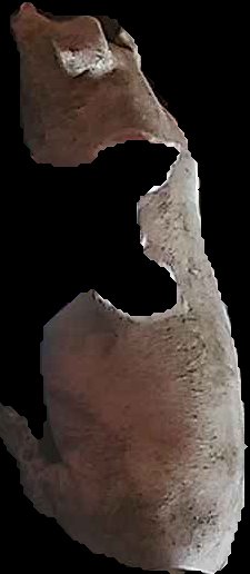 Crop