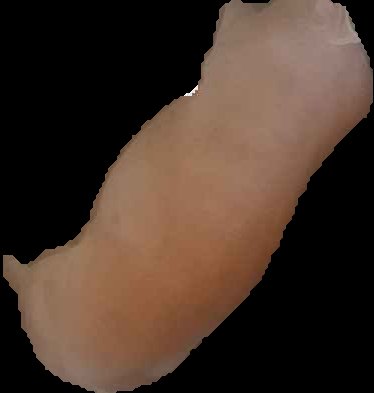 Crop